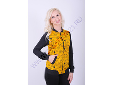 C-036.2 ������(������ �������)