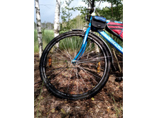 IMG 20170701 141229.jpg