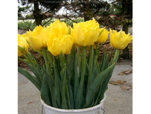 �������� ����������� ���-��� ��-�� 118,3 ���. ��. (� �������� 7 ��.). ������ �� 40 ��. ������� ������ �� 10 ��.jpg