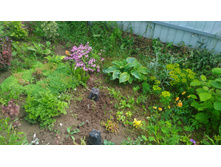 P 20170702 143407.jpg