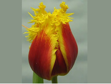 �������� ����������� ���-��� ���-��� 125,3 ���. ��. (� �������� 7 ��.). ������ �� 45 ��. ������� ������ �� 10 ��.jpg