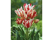 ������� �������������� ���-���� ��-�� ���. ����..jpg