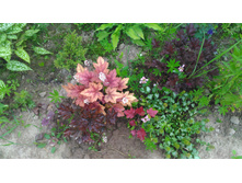 P 20170626 193020.jpg