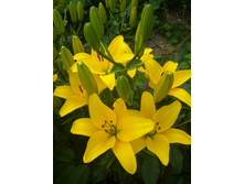 20228533 1991971310828432 9087334393055714344 n.jpg