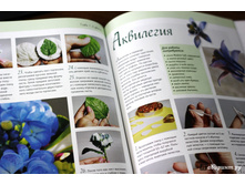 ���������� �����. �������. ������. �������.1.jpg