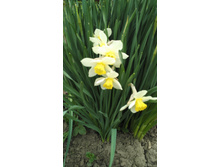 IMG 20170506 093657.jpg