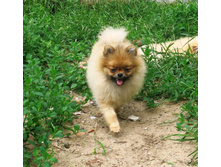 ��� �� �������� 031.JPG