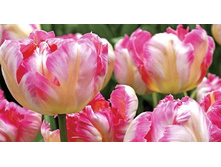 ������� ���������� ����-��� ��-���� ���. ����2.jpg