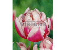 �������� �������� ������ ���-���� 118,3 ���. ��. (� �������� 7 ��.). ������ �� 40 ��. ������� ������ �� 10 ��..jpg