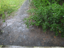 IMG 3771.JPG
