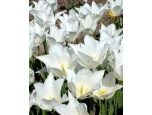 �������� ������������ ��-�� ����-������ ���. ����2.jpg