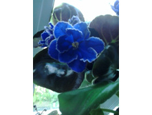 2016-06-23 14.16.23.jpg