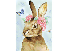 ���������� ������ 27�38 Ag 3433.jpg