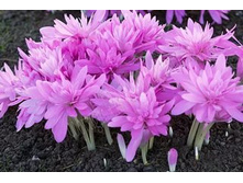 .������������ 3.jpg