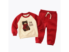 Minizone ������ "Cold bear" 720�. 120