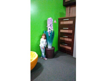 P 20170520 150102.jpg