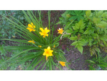 P 20170624 190259.jpg