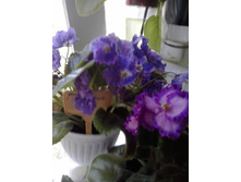 2016-06-23 14.16.00.jpg