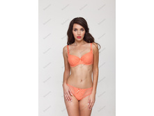 ����������� 2621 Alice Coral