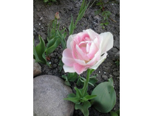 2017-05-22 18.04.44.jpg