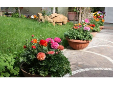 .������ � ����4.jpg