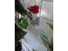 2016-05-11 18.07.28.jpg