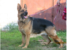 ���� 017.JPG