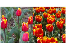 �������� ����������� ���-��� ���-��� ���. ����.jpg