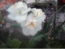 2016-05-04 18.10.39.jpg