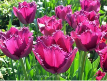 �������� ����������� ���-�� ��-� ���. ����.jpg