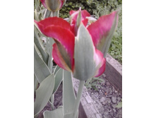 2016-05-11 18.10.08.jpg