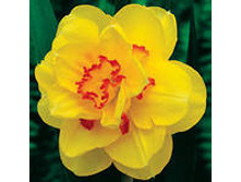 ���-���� ���-����� ���-�� 69,7 ���. ��. (� �������� 3 ��.). ������ �� 40 ��. ������� ������ �� 9 ��.!!!!!!!!!!!!!! ��������.jpg