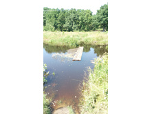 IMG 20170716 121630.jpg