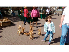 P 20170520 142930.jpg