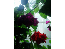 2016-06-02 14.06.32.jpg