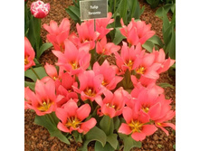 ������� �������������� ���-���� ���. ����..jpg