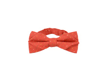 195 ���. - ������ ������������ ����