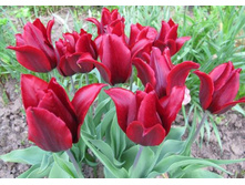 �������� ������������ ���-��� ��-� ���. ����3.jpg