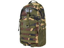 1295 ���. - ����������� 48�16�32 ��