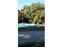 IMG 20170711 183929.jpg