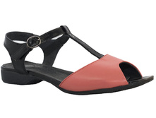 561 ���� ������ � ������� ( �� ���� ������)