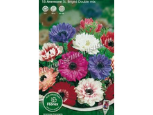 ���-���� ���-������� ����� ��-�� ����-��� 81 ���. ��. (� �������� 10 ��.). ������ �� 30 ��.jpg