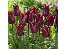 �������� ������������ ���-���� ��-� ���. ����.jpg