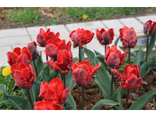 ������� ���������� ��-���-�� ���. ����2.jpg