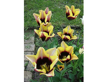 ������� ����� ������ ���-��� ���. ����2..jpg