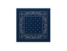 45 ���. - Paisley Acrylic 55�55 ��