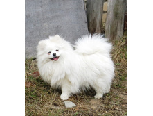 ����� ������.JPG