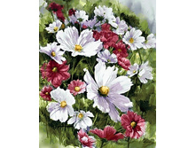 ���� ����� 38�48 Ag 2241.jpg