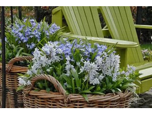 .����-������ ��-���� ���. ����.jpg