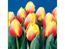 �������� ��������� ������� ���-��� ��-��� ���. ����..jpg